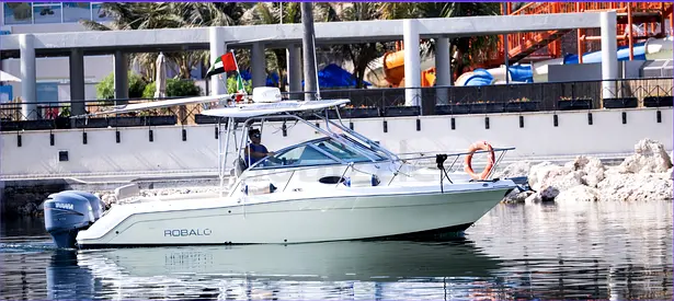 2008 ROBALO R265 WALKAROUND