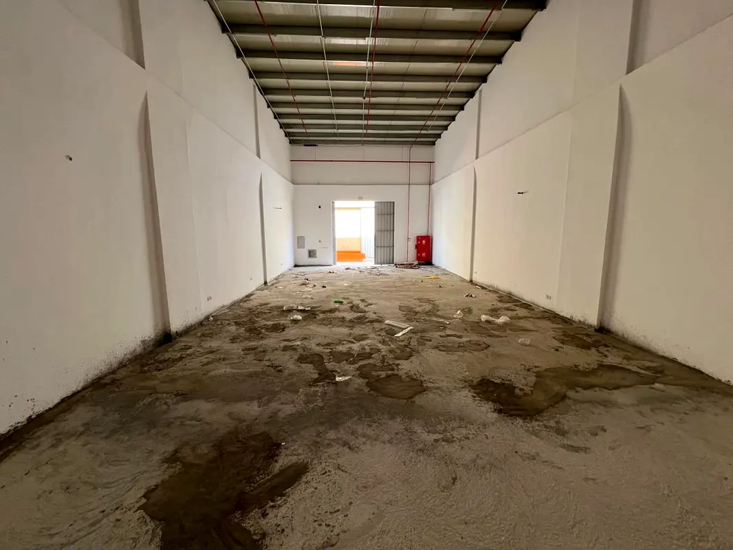 gallery-image