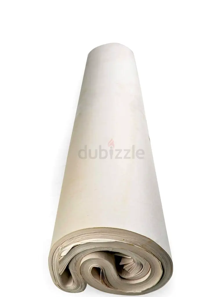 DPV_View_Image_6