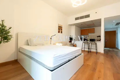 Fully Furnished | Studio | Upgraded | DLRC