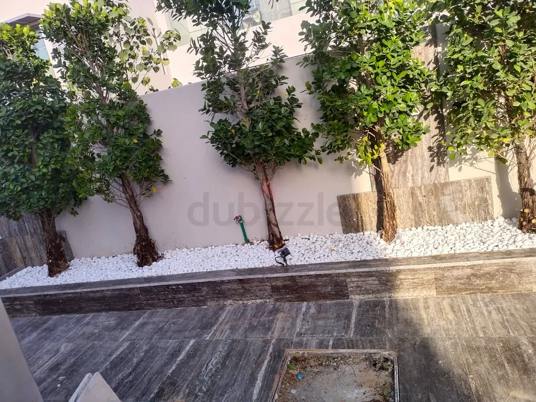 DPV_View_Image_4