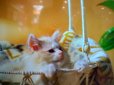 Hisense 65 inch tv smart tv