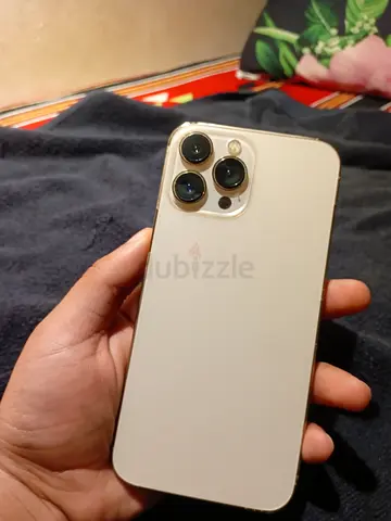 Apple iPhone13 Pro max (white/gold)