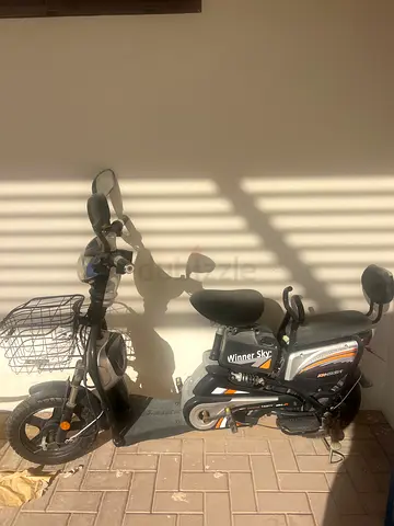 Electric Scooter for Sale