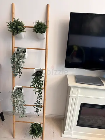 Decorative ladder with planters