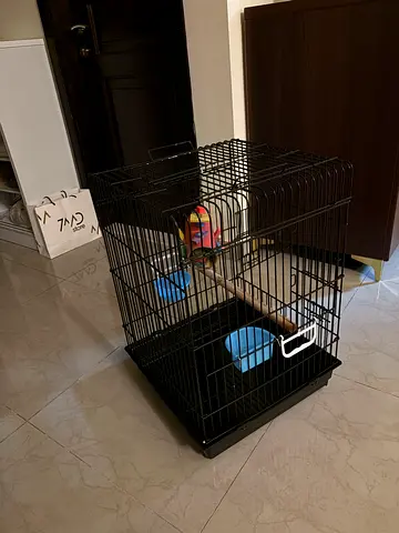 Big bird cage clean and new
