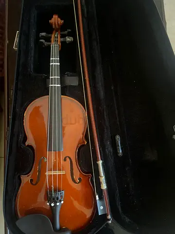 Normal violins for Biginers