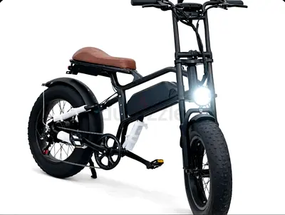 Electric Fat Tire Bike for Sale