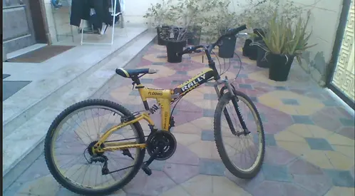 rally cycle