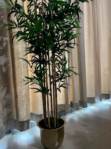 Tall artificial bamboo plant with golden planter