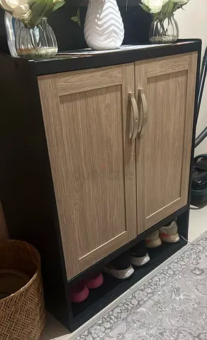 Stylish Dual-Door Shoe Cabinet