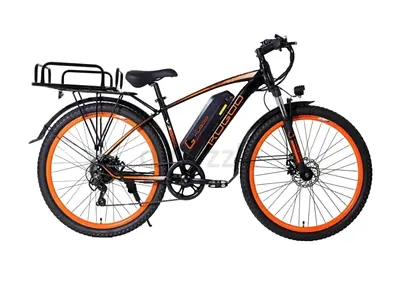Rugged Electric Bike for Sale