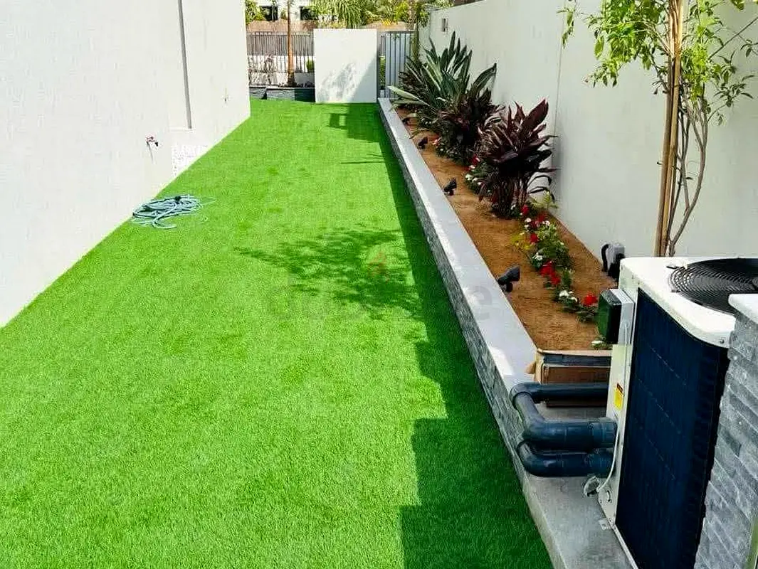 DPV_View_Image_7