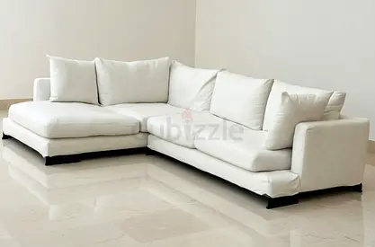 Feather 🪶 filled Camerich L shape sofa