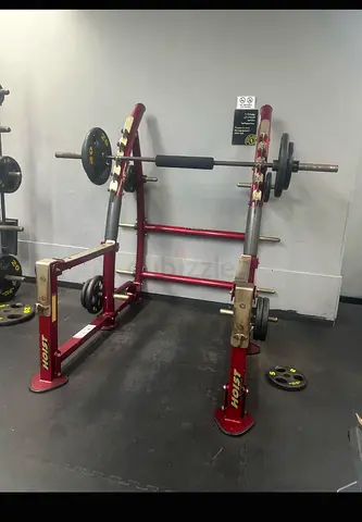 Selling my Hoist commercial squat/press rack with barbell