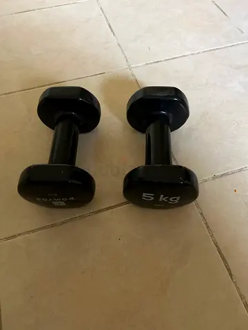 Pair of 5 kg dumbbells (set of 2) - used