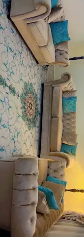 Elegant Velvet Sofa Set with Cushions