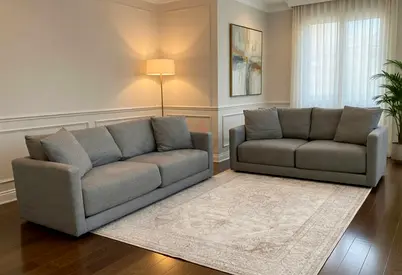 Cratebarrel 5_Seaters Sofa