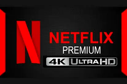 Netflix Premium 4K Ultra HD account — digital streaming access