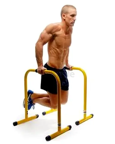 Brand new Barbarian Gym Parallettes Gymnastic Dip Station Machine Cross-fit MMA UFC for sale