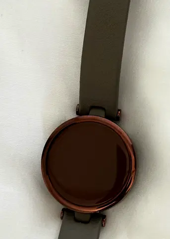 Garmin Lily Classic Smartwatch