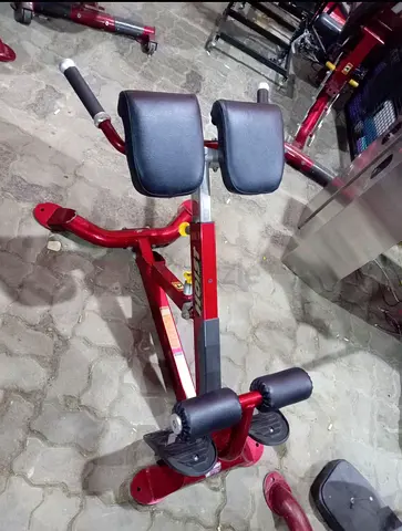 Roman Chair (Back Extension Bench) - Used