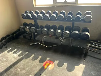 Set of Dumbbells for Home Gym