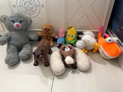 Collection of Soft Toys and Stuffed Animals