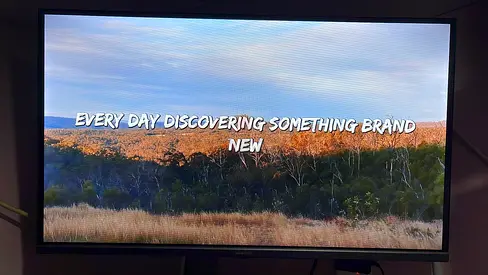 Flat Panel Television