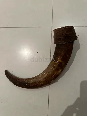 Natural drinking tool