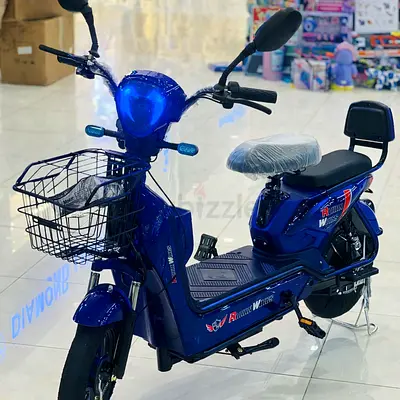 عجمان الراشدية ٣