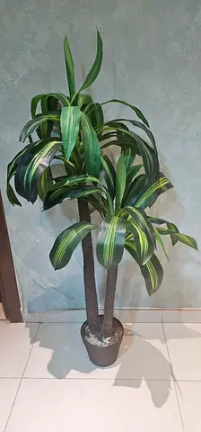 Variegated indoor artifical plant (Dracaena/Cordyline) - good condition