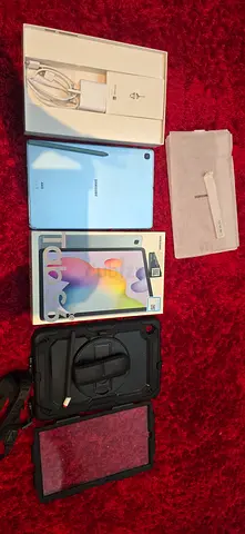 Tab s 6 lite only screen damage