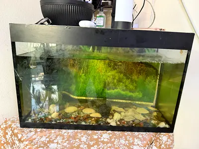 Used fish aquarium tank with table, light and motor