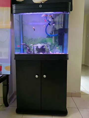 Aquarium with fish for sale