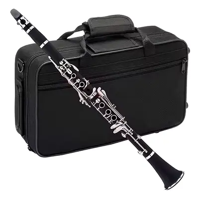 Professional B Clarinet with Nickel Plated Keys – Complete Set