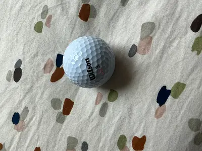 Used Wilson Golf Ball for Sale