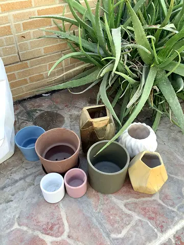 Assorted Decorative Ceramic Plant Pots