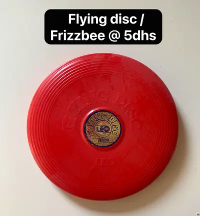 Frizzbee or Flying disc