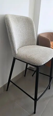 Stylish Modern Dining Chair