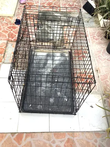 Dog Crate for Sale