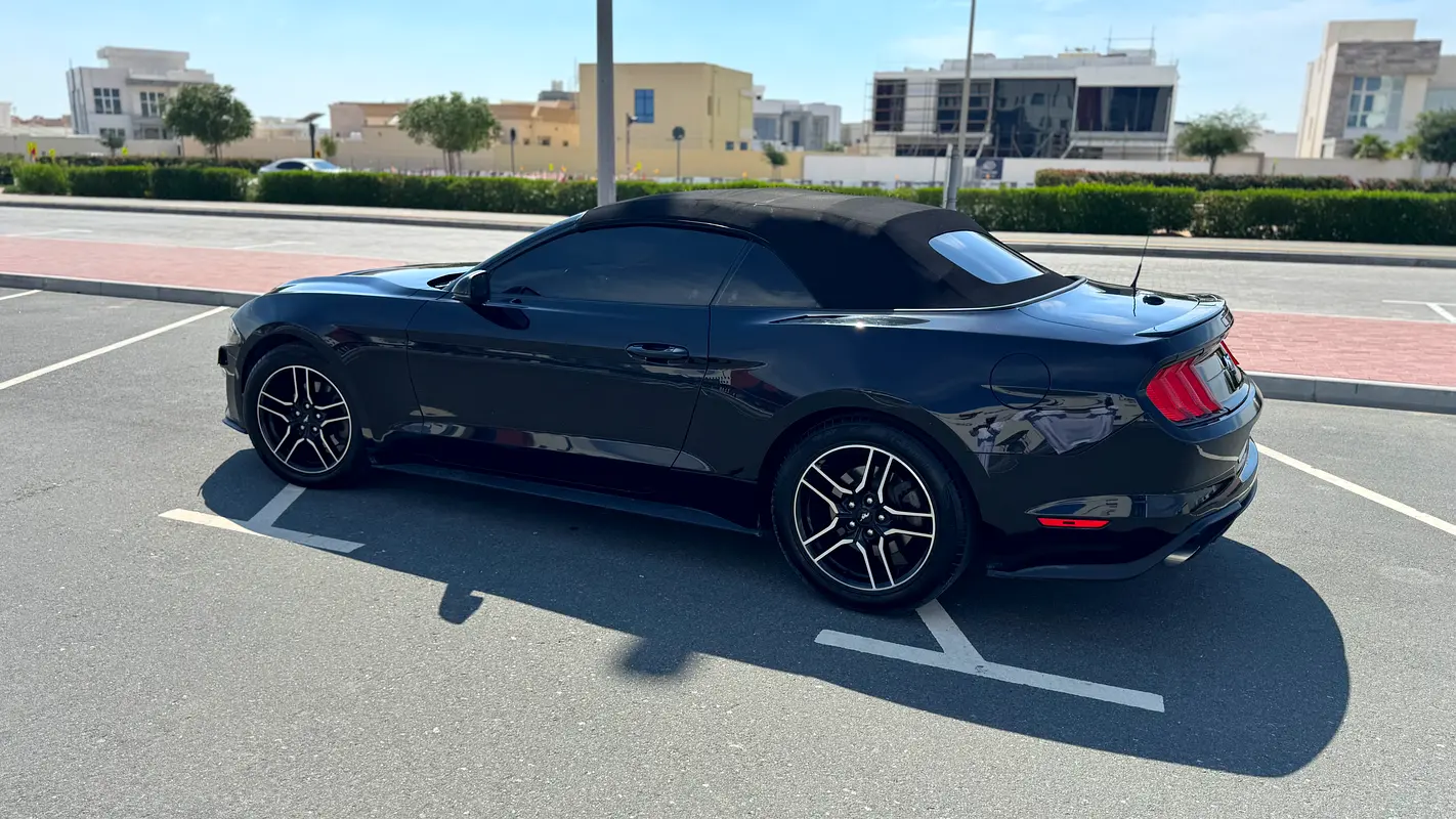 Ford Mustang 2020 — photo 1 of 14