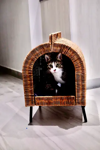 Very nice cat house