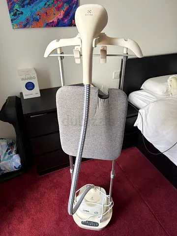 Electrolux steam iron