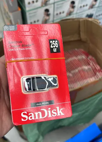 SanDisk 256GB USB 2.0 Flash Drive