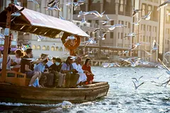 DPV_View_Thumbnail_Image_3