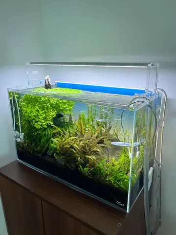 Professional aquascaping aquarium fully equipped