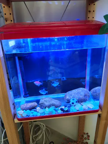 Red-top LED Aquarium with Filter, Gravel  Decorations