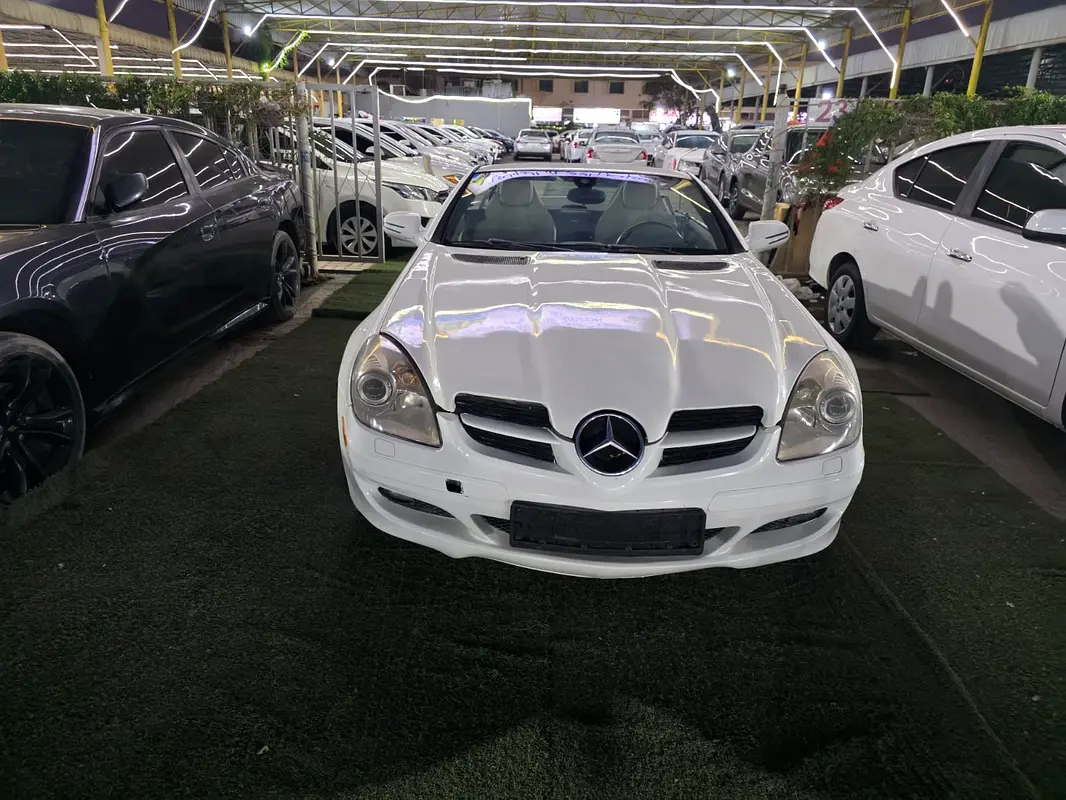 Mercedes-Benz SLK-Class 2010 — photo 1 of 12