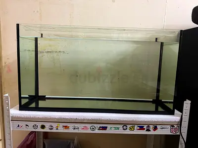Aquarium with stand